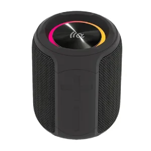 اسپیکر قابل حمل تازاتا مدل PALM 100